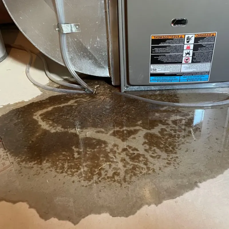 Pipe Burst and Leak Restoration in Ottawa County, OH