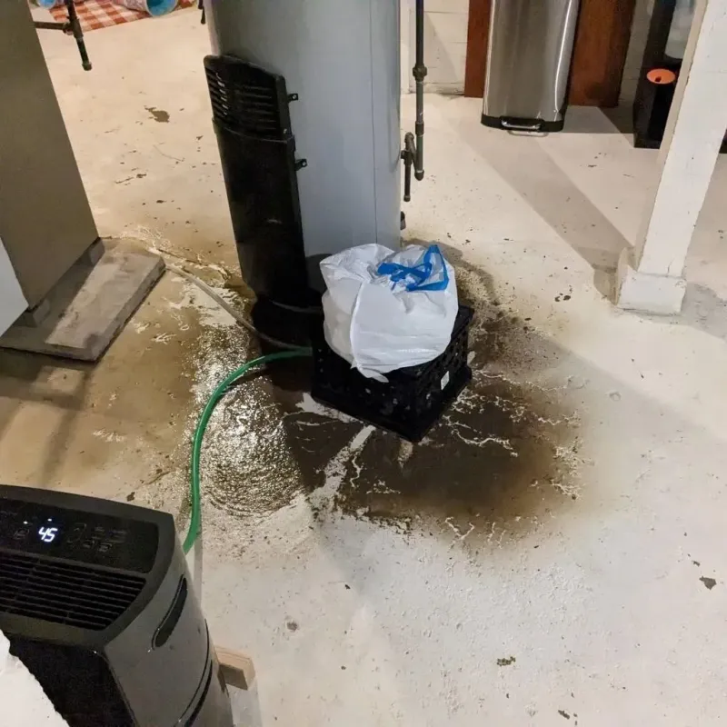 Sewage Backup Cleanup Service in Ottawa County, OH